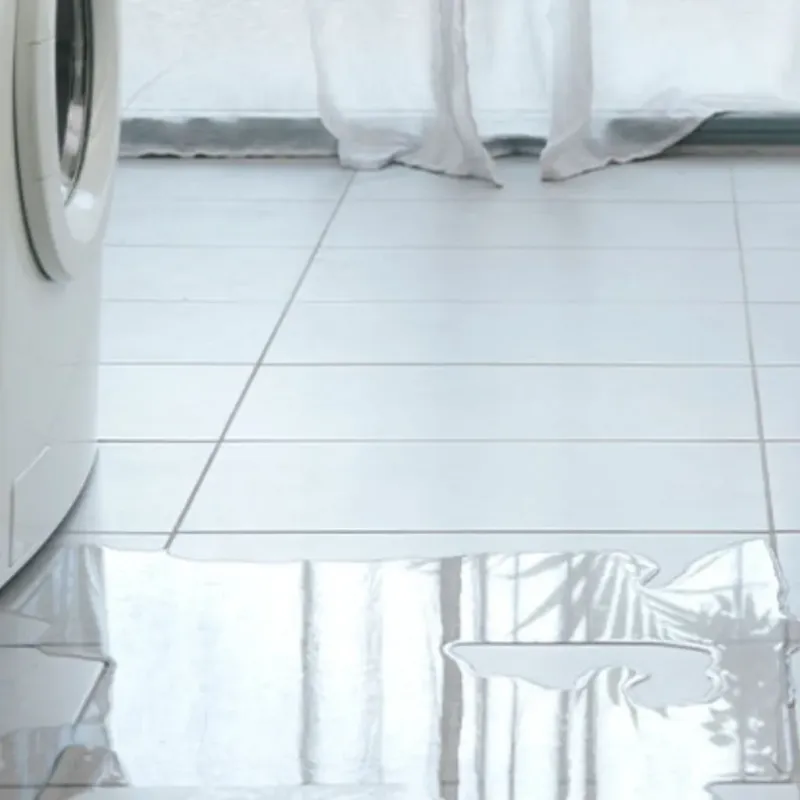 Appliance Leak Cleanup in North Bend, WA